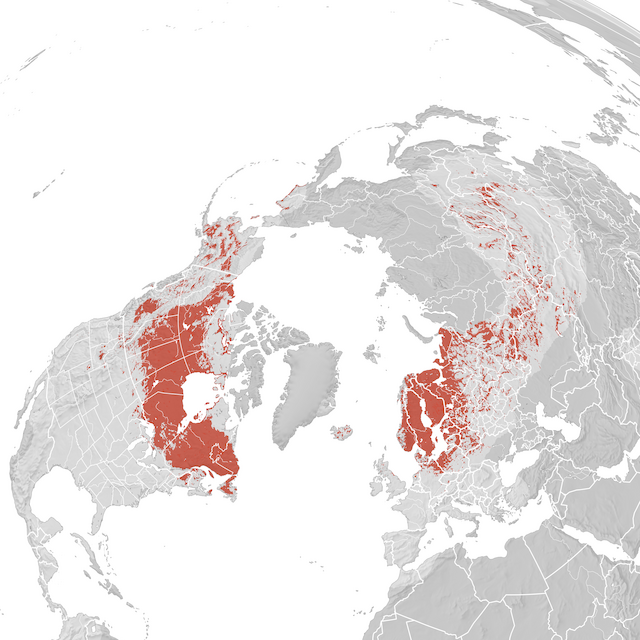 Mappa di distribuzione