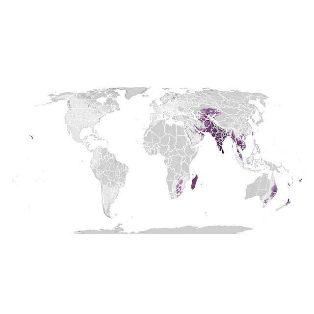 Mapa de abundancia