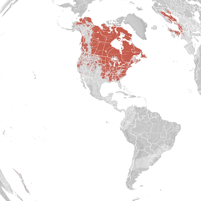 Mapa de distribuição