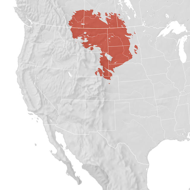 Range Map