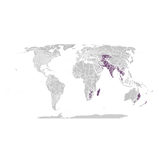 Mappa di distribuzione