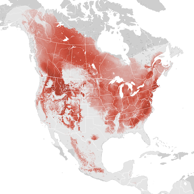 Abundance Map