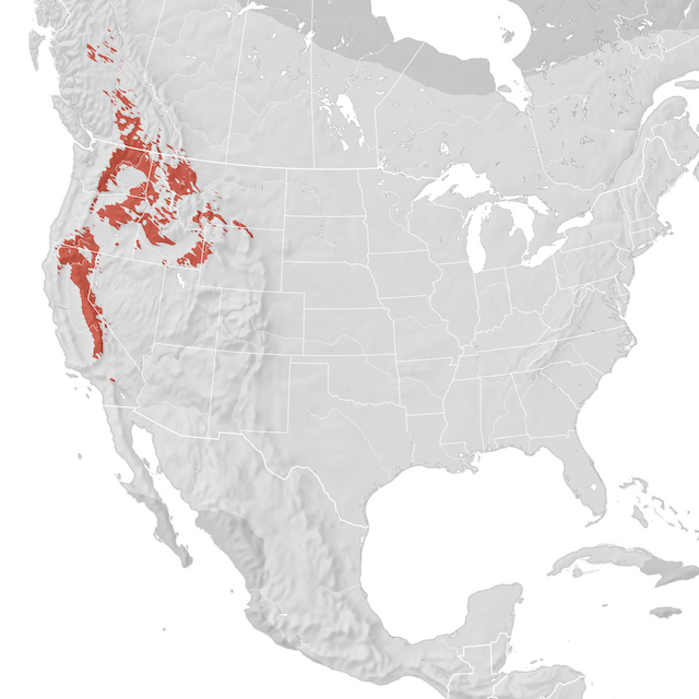 Mapa de distribuição