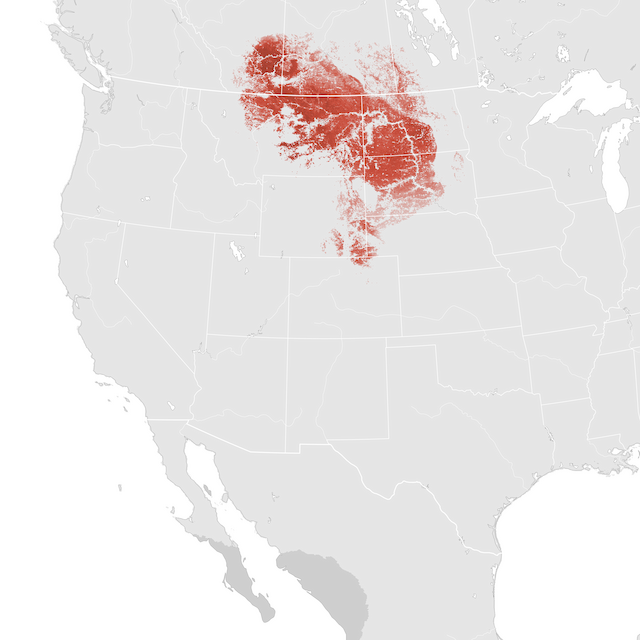 Abundance Map