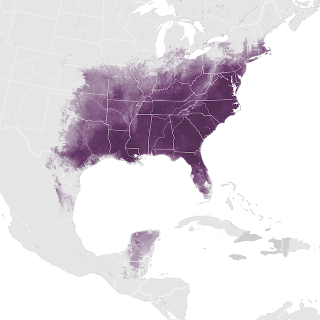 Abundance Map