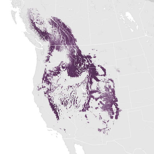 Abundance Map