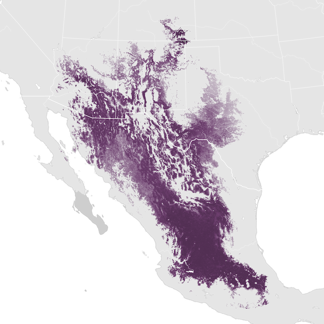 Mapa de abundancia