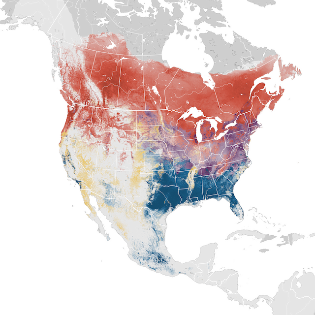 Abundance Map