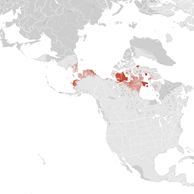 Mapa de abundancia