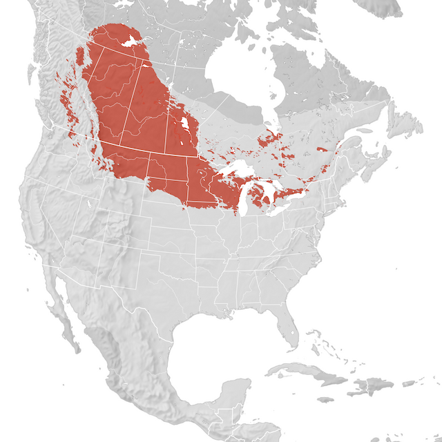 Carte de distribution