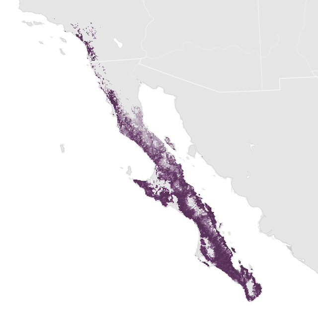 Abundance Map