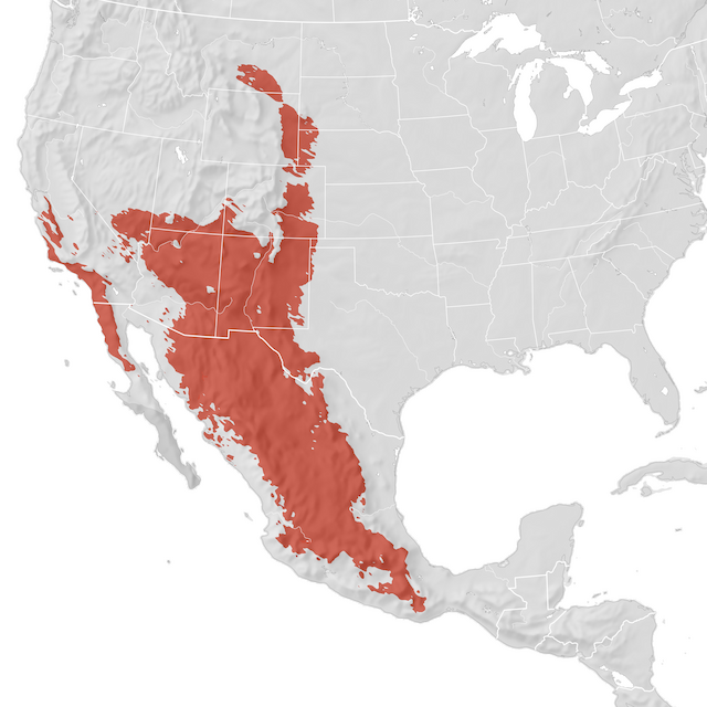 Range Map