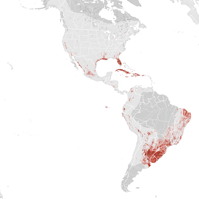 Ugaritasun mapa