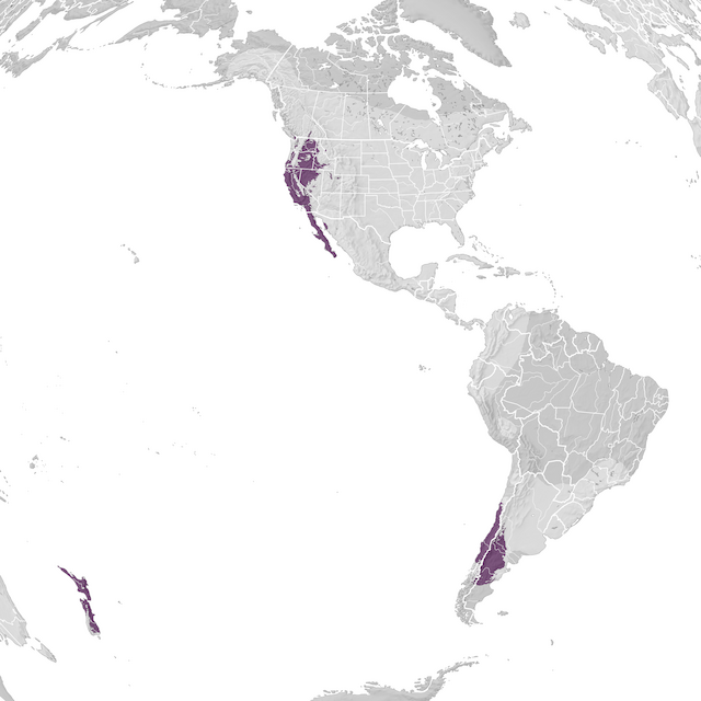 Mapa de Distribuição