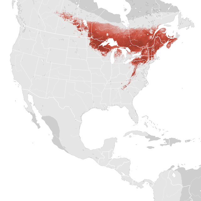 Mapa de abundâcia