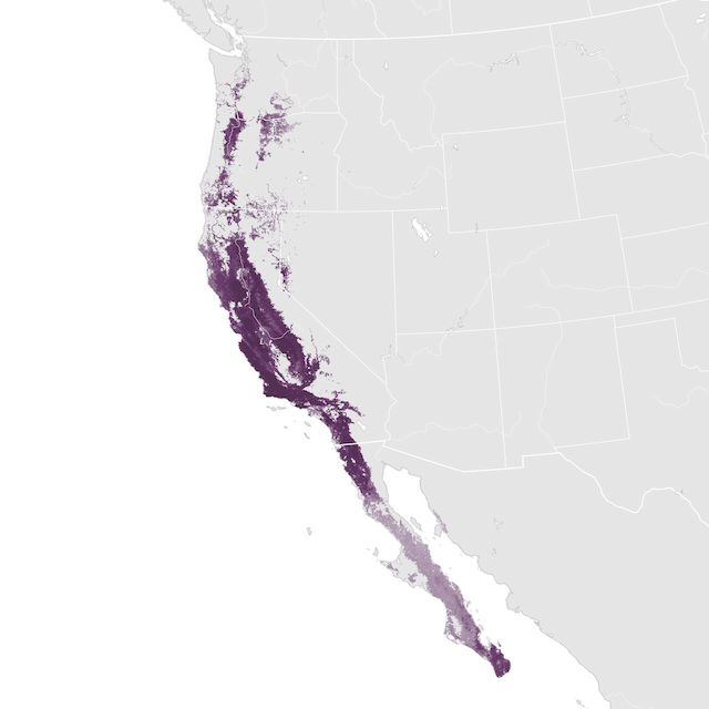 Mapa de Abundância