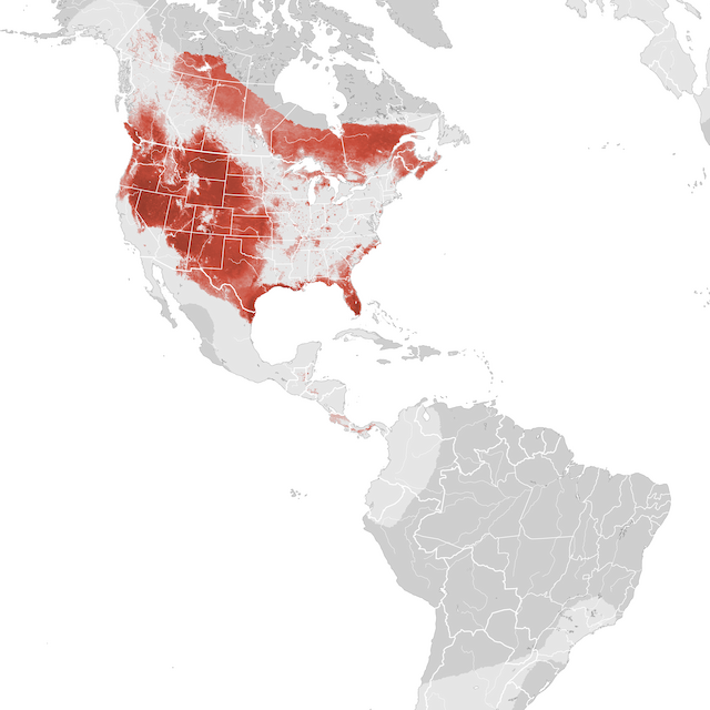 Abundance Map