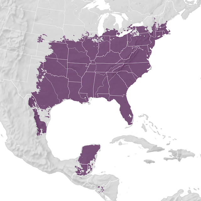 Mappa di distribuzione