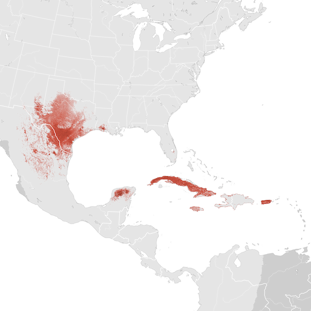 Mapa de Abundância