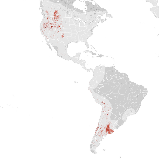 Abundance Map