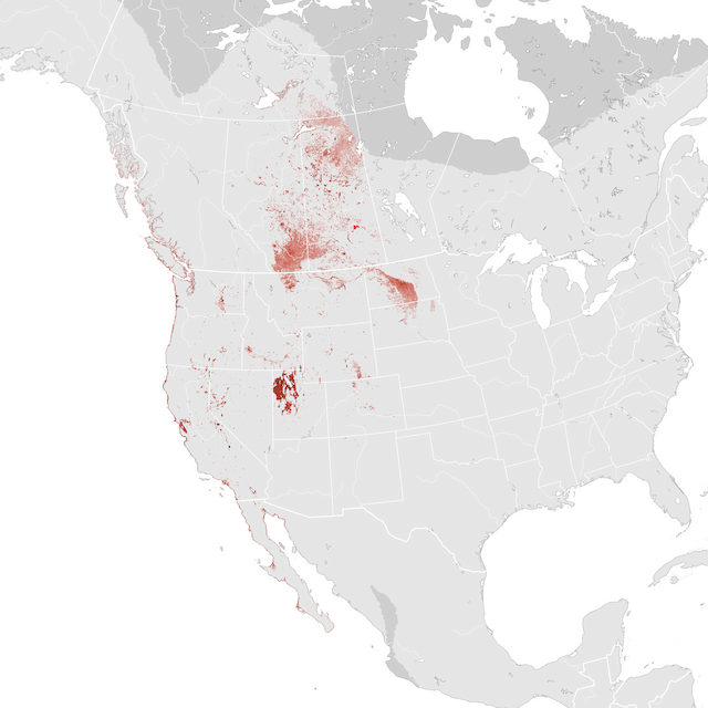 Abundance Map