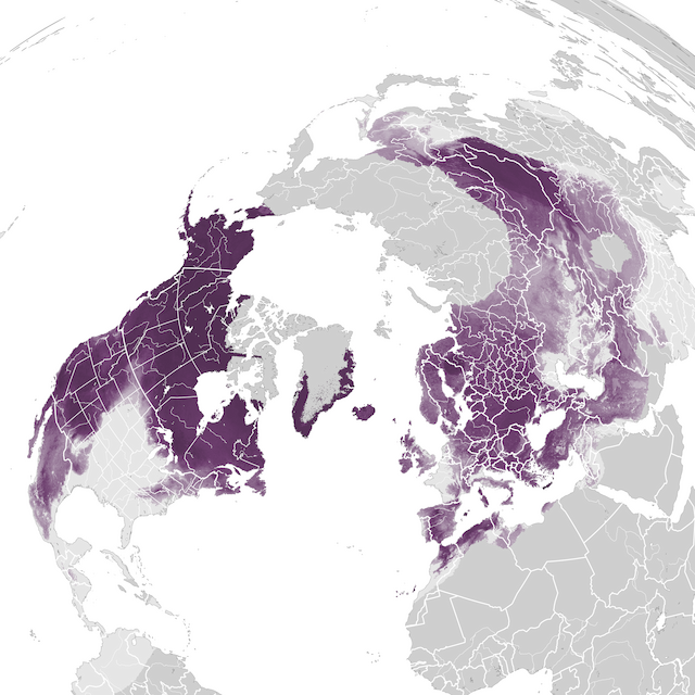 Mapa de Abundância