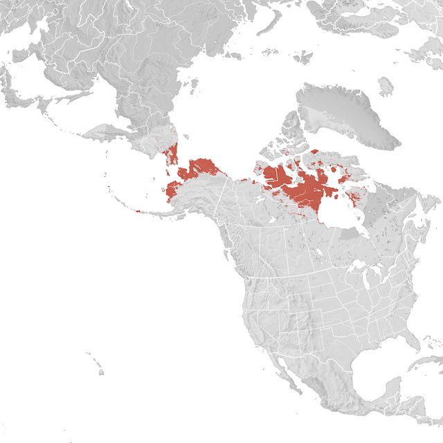 Carte de distribution