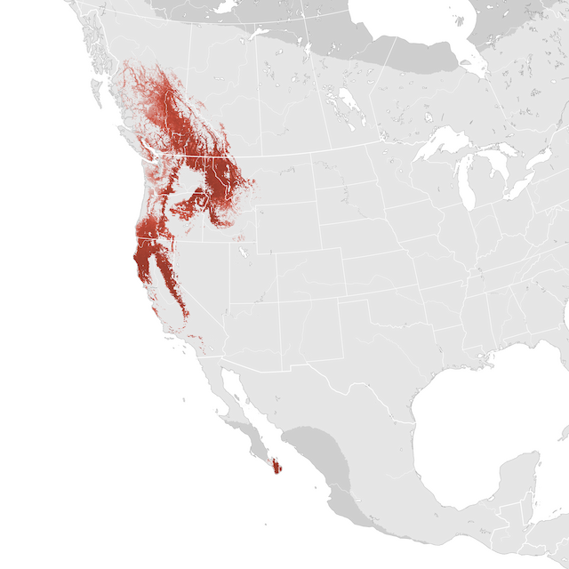 Mapa de Abundância