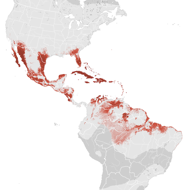 Mapa de Abundância