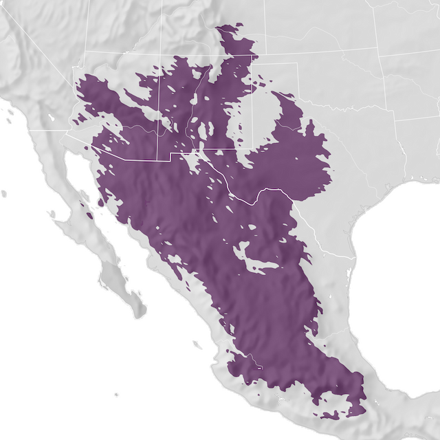 Mapa de Distribuição