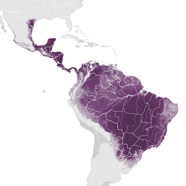 Abundance Map