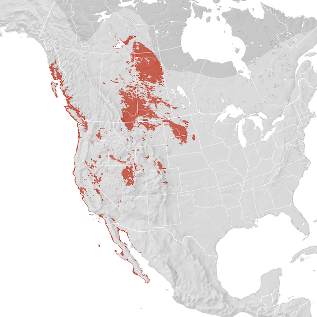 Range Map