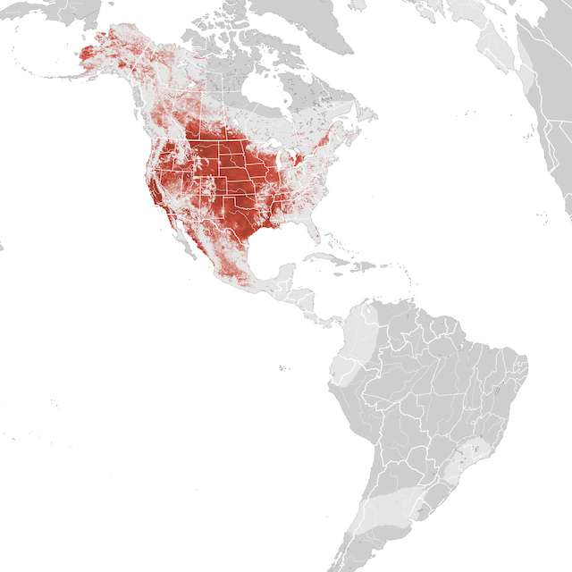 Mapa de Abundância