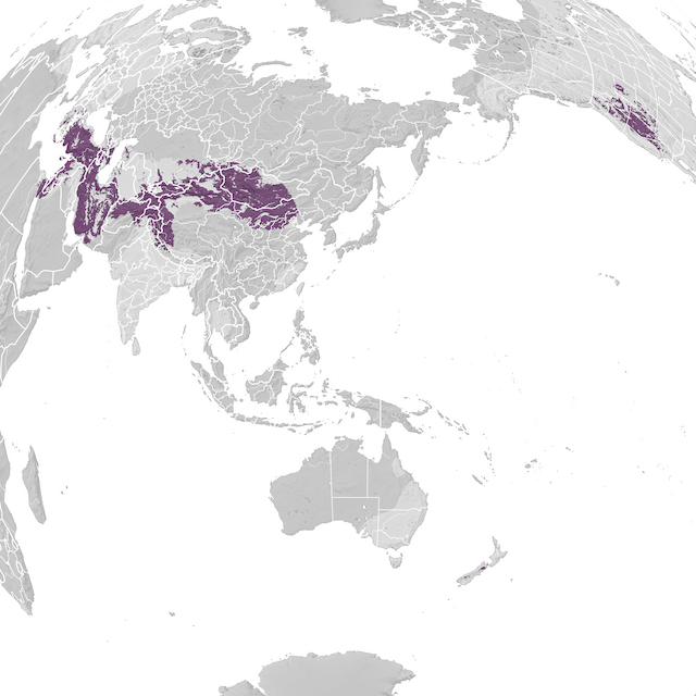 Carte de distribution