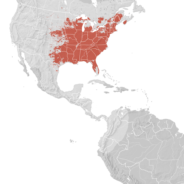 Carte de distribution