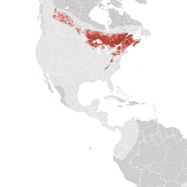 Mapa de abundâcia