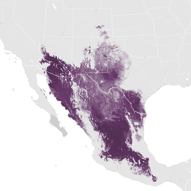 Mapa de Abundância