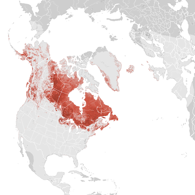 Abundance Map