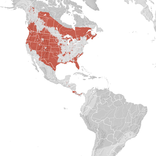 Carte de distribution