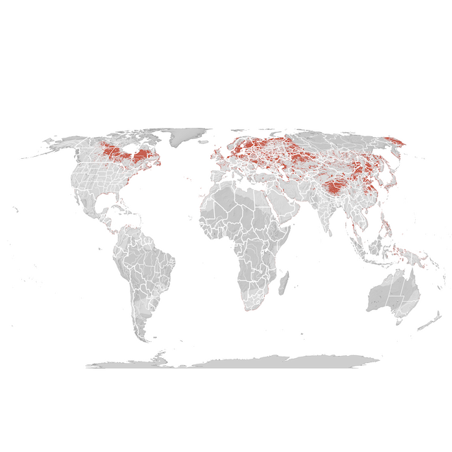 Mappa di distribuzione