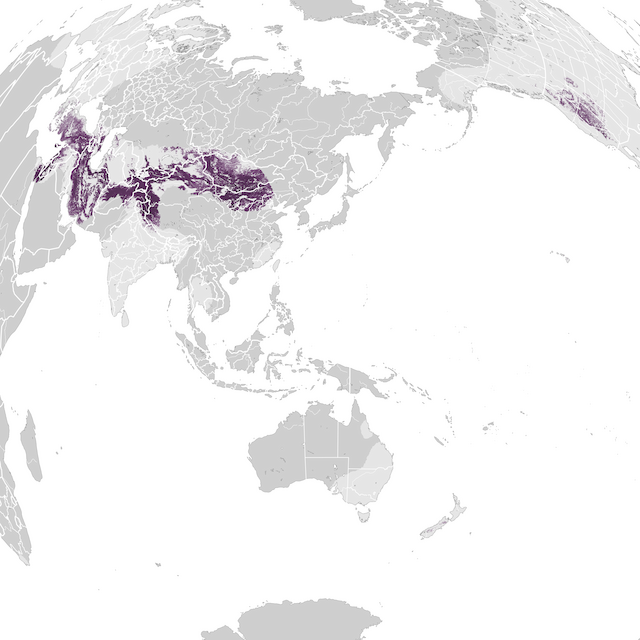 Mapa de abundâcia