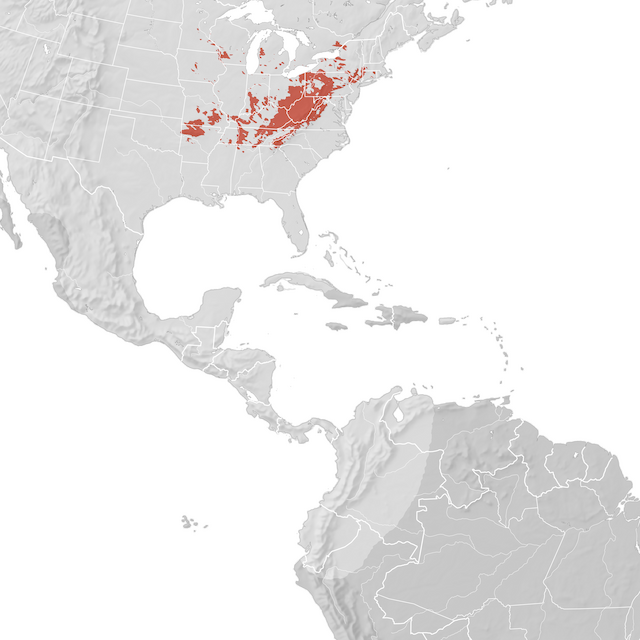 Mappa di distribuzione