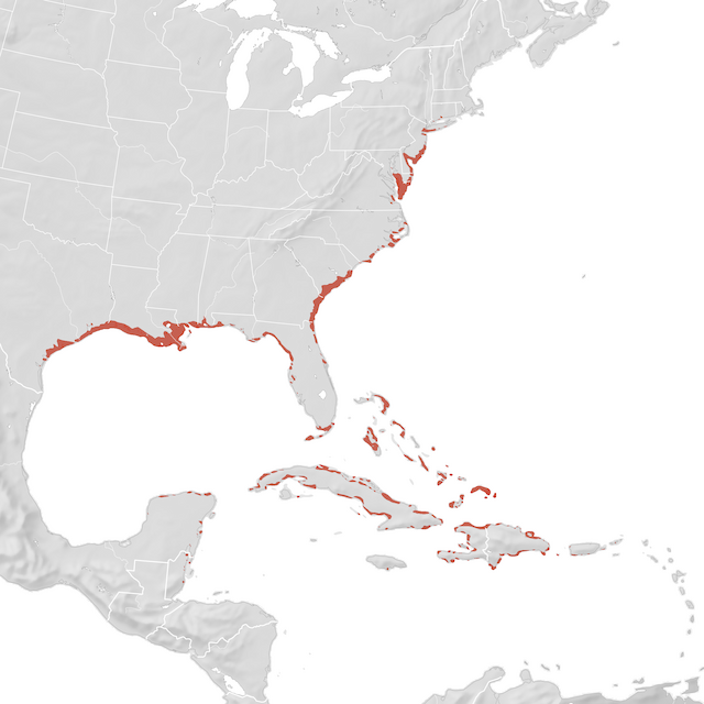 Mappa di distribuzione