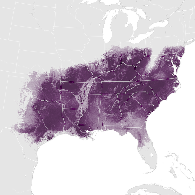 Abundance Map