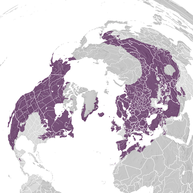 Mappa di distribuzione