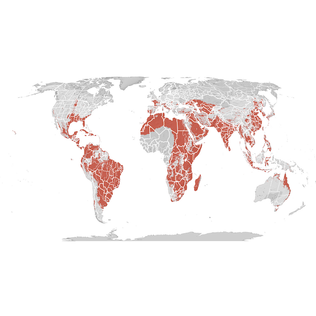 Mappa di distribuzione