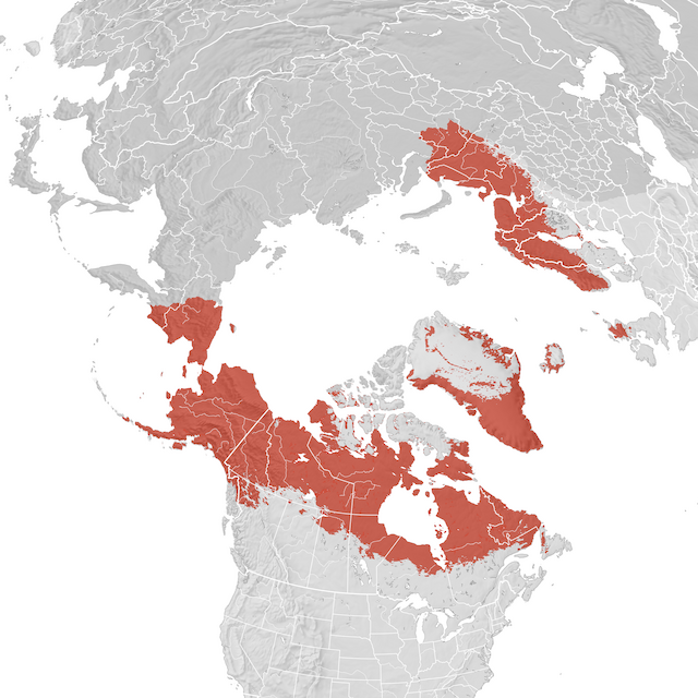 Mappa di distribuzione