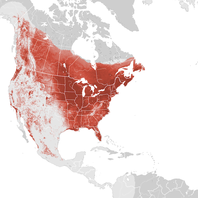 Mapa de abundancia