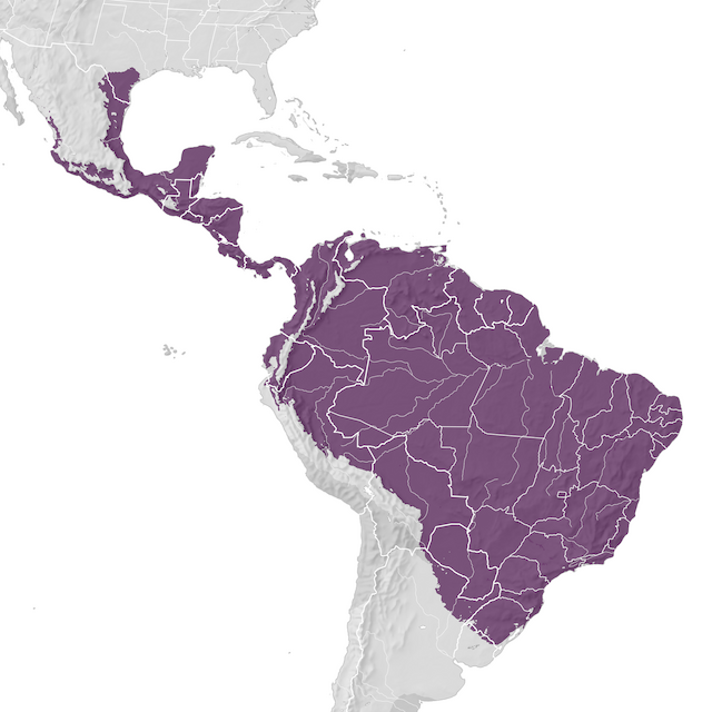 Mapa de distribuição