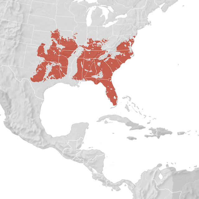 Mappa di distribuzione